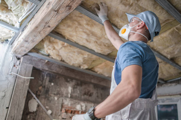Best Blown-in Insulation in Itasca, TX