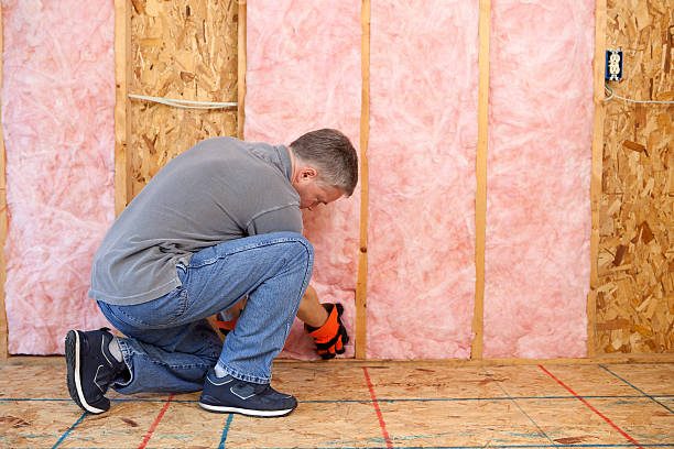 Best DIY Insulation Kits and Guidance in Itasca, TX