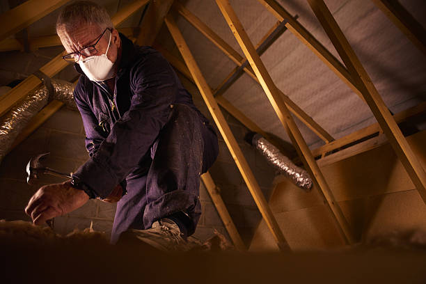 Best Eco-Friendly Insulation in Itasca, TX